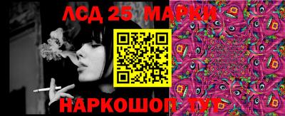 крисы Гай