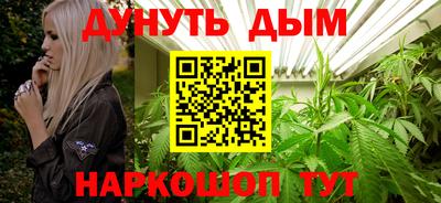 крисы Гай