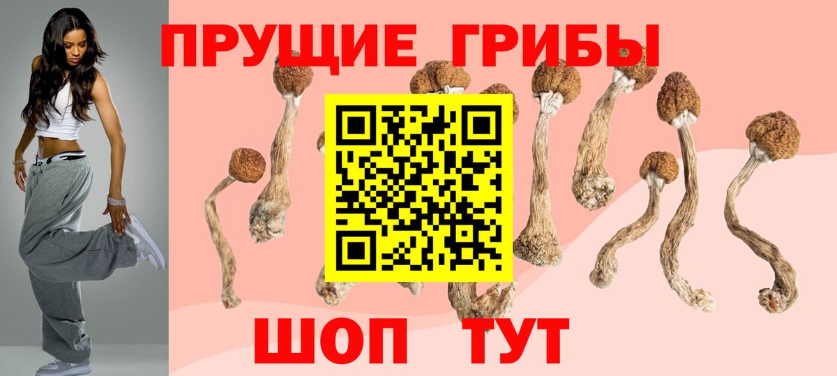 Галлюциногенные грибы Magic Shrooms  Псилоцибиновые грибы GOLDEN TEACHER  Вход с VPN  Каспийск 